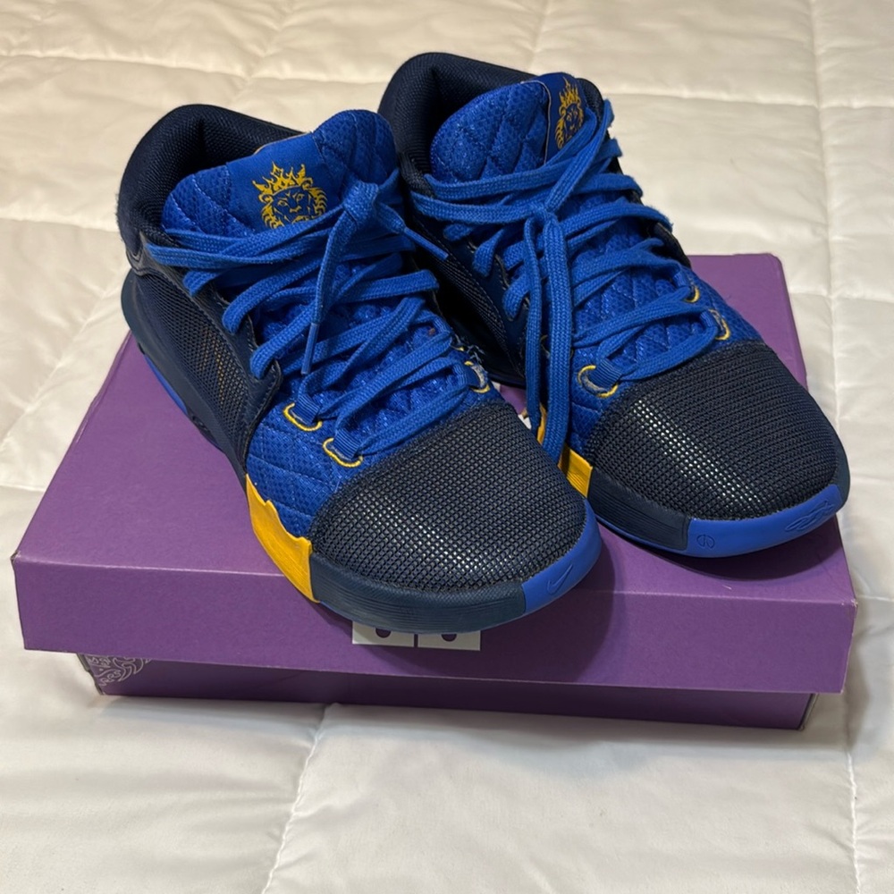 LeBron Witness VIII